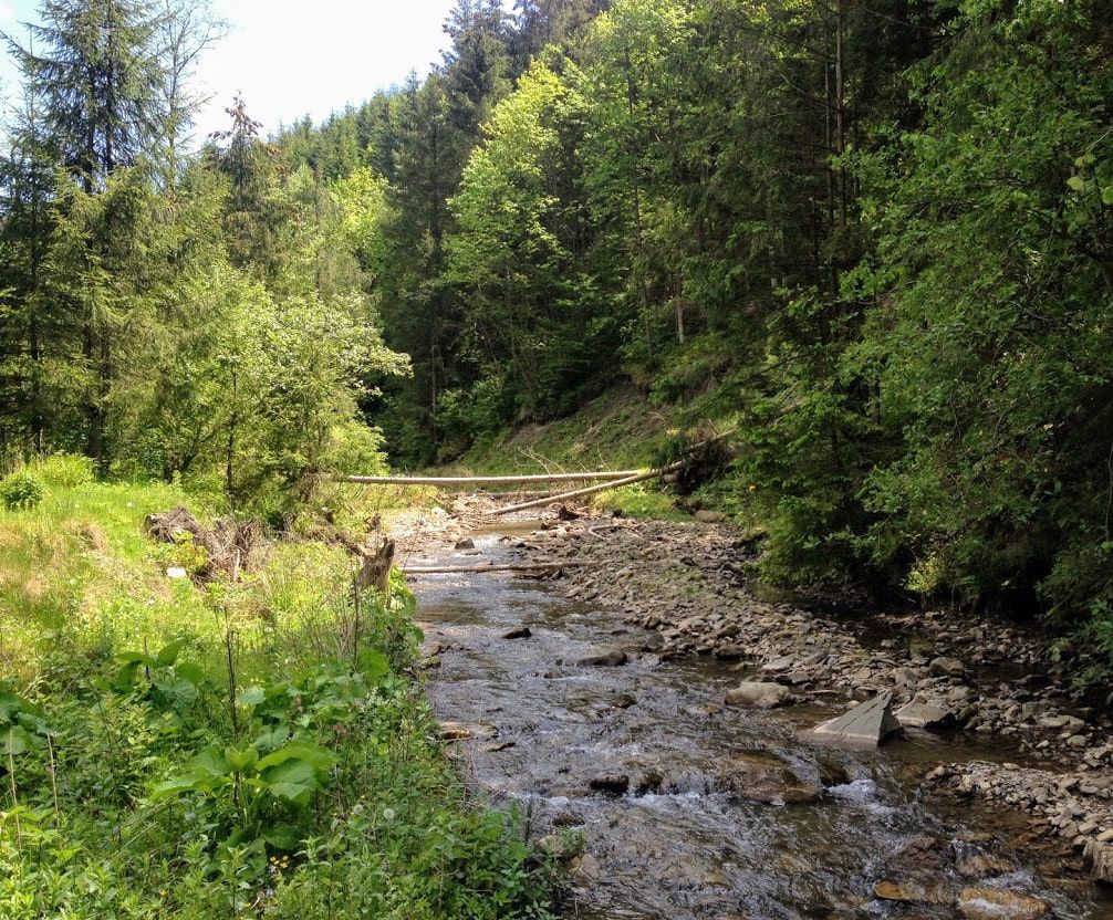 Річка в Карпатах біля Казкової Садиби